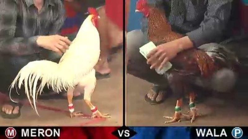 Các kèo cược sẽ do nhà cái đưa ra để anh em lựa chọn