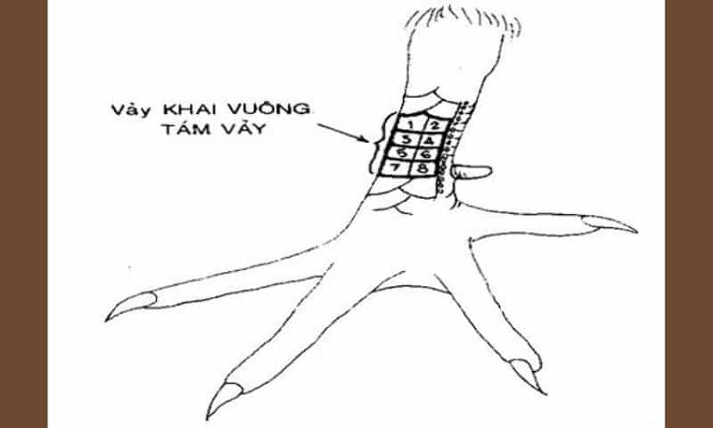 Vay Ga Choi Xau 1